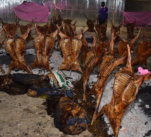 50 Photos: Gamou aux Almadies, un festin pour le prophète PSL