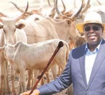 Kolda: Macky Sall réaffirme la volonté... d'éradiquer "au plus vite" le vol de bétail