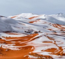 Vidéo et Photos – Fait inédit : La neige a envahi les belles dunes de sable du Sahara