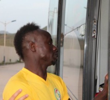 Matchs amicaux des Lions: Serbie, Roumanie, Bulgarie, Hongrie et Paraguay