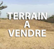 Abus de confiance : Le propriétaire de l’agence immobilière AKI condamné à un mois ferme, et à 50 millions francs Cfa