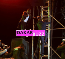 Exclusivité -Concert en Gambie : Du jamais vu Youssou Ndour excité, grimpe sur un poteau !