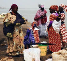 Fipa: Les «Mareyeurs» au Sénégal, moins de poissons, plus d’émigration