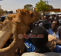 Youssou NDOUR décoré par les populations de la commune de Ndioum