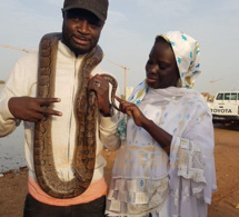 Arrêt sur image : Fata El Presidente, Thérèse Faye et le serpent.