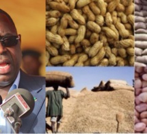 Le Président Macky Sall aux paysans du Saloum : «Ne bradez pas vos arachides »