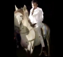 Concert Au Stade : Sidy Diop vêtu tout blanc sur un cheval blanc… Mystique ou Scène Concert Au Stade : Sidy Diop vêtu tout blanc sur un cheval blanc… Mystique ou Scène