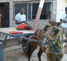 Entre soudeur, maçon, menuisier, et charretier, Modou Lô a été un vrai « homme aux douze métiers ».
