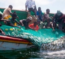 Pêche illégale en Afrique de l'Ouest: La Chine suspend les subventions et retire la licence à des compagnies impliquées