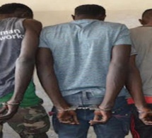 Tambacounda: 192 kg de chanvre indien saisis par la police