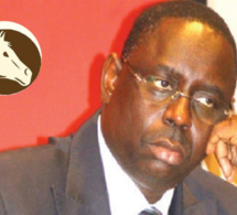 Transhumance: Bamba Fall accusé d'avoir reçu 40 millions