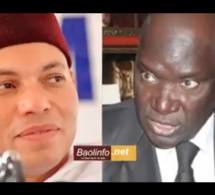 Me Babou enfonce le clou : ″Karim Wade manoul néck candidat 2019, lolou lou wer peng leu *″
