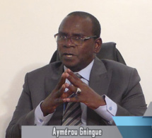 Aymerou Gningue : «Les conditions sont réunies pour que le projet de loi passe sans violence».