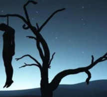 DERNIÈRE MINUTE LOUGA: UN HOMME RETROUVÉ PENDU À UN ARBRE DANS LA BROUSSE À BAKHAYA DIA