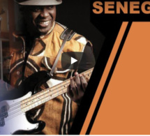 Senego TV – Tange Tandian: « Habib Faye jouait son dernier Bercy… »
