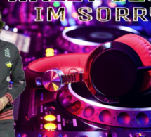 Wally Seck- nouveau single « Im Sorry »
