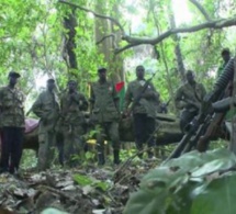 Urgent- Attaque armée en Casamance: Un enfant de 6 ans tué, une dame gravement blessée