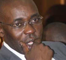 Samuel Sarr dément : «Je ne suis pas un allié du régime de Macky Sall… »