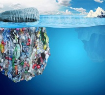 Journée mondiale de l’Environnement : « Combattons la pollution plastique ! »