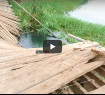Effondrement du pont de Savoigne : un véhicule 4x4 englouti, plusieurs villages dans la détresse ( vidéo)