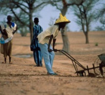 Des collectivités locales interpellent Macky Sall pour réclamer 7 milliards aux sociétés minières