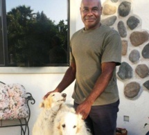 Etats-Unis: Il promène ses chiens, on l'arrête car il est Noir