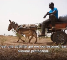 Des stades au champ, découvrez la toute nouvelle vie de Ferdinand Coly, ancien international sénégalais