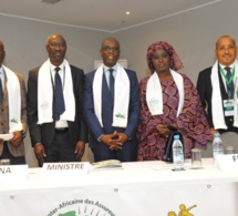 XIIème Assemblée Générale de la Fédération Interafricaine des Assureurs-Conseils: Discours de M. BIRIMA MANGARA, ministre chargé du Budget