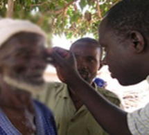 165 mille aveugles et 550 mille malvoyants au Sénégal