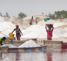 L’industrie alimentaire sénégalaise importe 100.000 tonnes de sel par an (officiel)