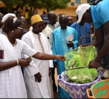 Gaya, Richard-Toll, Podor : L’aquaculture à l’honneur, le Ministre Oumar Guèye traduit la vision du Président en actes