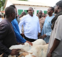 Mouton de Tabaski: Adama Barrow s’est rendu dans un daral pour…