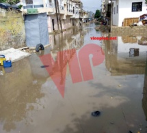Fortes pluies à Dakar : 1 mort et 3 blessés à Pikine, Une femme de 35 ans a perdu la vie
