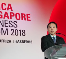 Economie numérique et industrie manufacturière, les nouveaux centres d’intérêt de Singapour en Afrique
