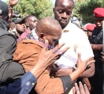 Sit-in : Mamadou Diop Decroix malmené par les forces de l'ordre, regardez
