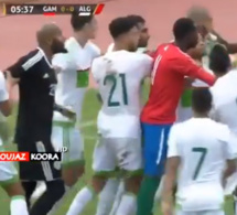 Vidéo – Elim CAN 2019 – La Gambie tient tête à l’Algérie 1-1 score final !