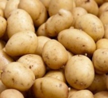 Pomme de terre: Des explications sur la "mauvaise" qualité du produit
