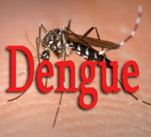 Dengue à Fatick: les malades passent de 6 à 8