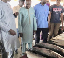 Découvrez le cadeau de Aly Ngouille Ndiaye au Marché central au Poisson…