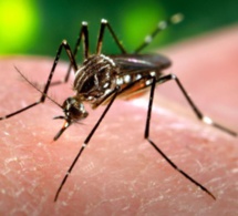 Sensibilisation sur l'épidémie de Dengue à l'occasion du Magal de Touba 2018