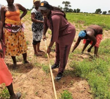 Yaye Fatou Diagne Une belle Drianké Sénégalaise dans les champs…
