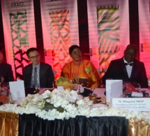 521 IMAGES: 2 eme Editions des African Leadership Awards, le Président Mbagnick Diop du MEDS vient de réussir le pari de l'organisation au Meridien Etoile de Paris.
