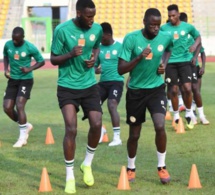 les images de la 3e séance d’entrainement des Lions