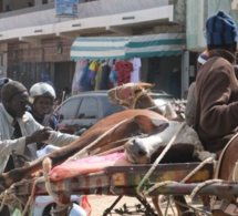 Gamou-2018 : Tivaouane en images