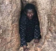 Arrêt sur image: Mary Teuw Niaw à l’intérieur d’un arbre mystérieux