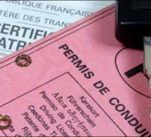 Sécurisation des transports: 200 faux permis de conduire saisis à Fatick