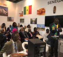 Mame Thierno Dieng, le ministre de l'Environnement au Cop24
