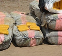 Bakel : 250kg de chanvre indien saisis par la gendarmerie
