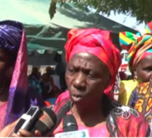 Vidéo - Adja Ndiouck Mbaye : "Certains opérateurs véreux sabotent la campagne de commercialisation de l'arachide"