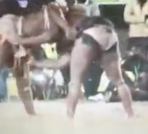 URGENT : Balla Gaye 2 attaque Modou Lô, le cogne et le terrasse